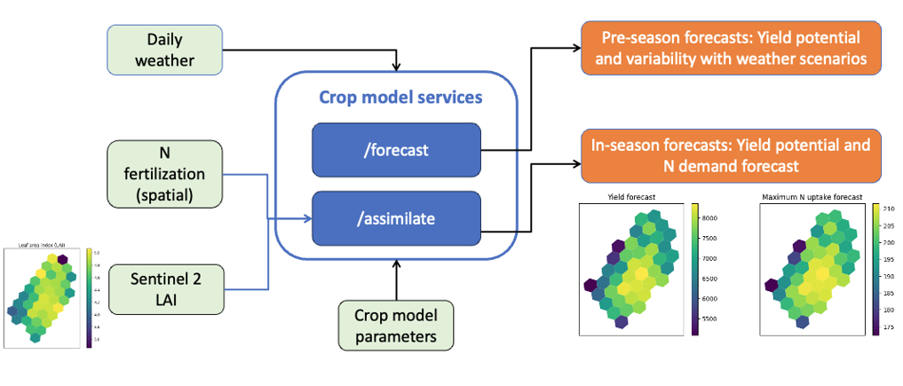 Digital Twin Service Development: Crop model as a service