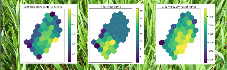 LAI_N_CropYield