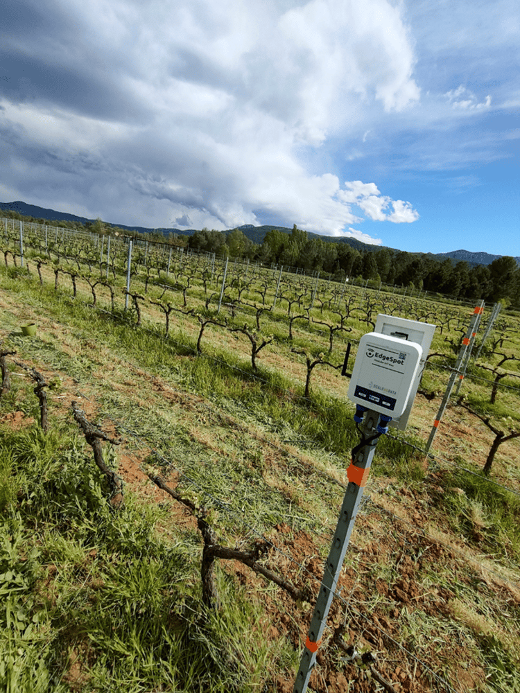 YaraSense: deployment of first prototype, in the south of France.