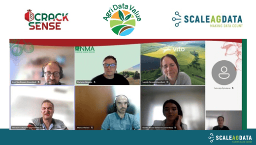 online meeting screenshot