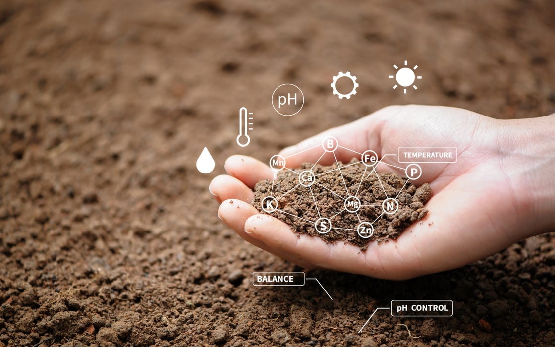 Soil Health_iStock-1360520451-1