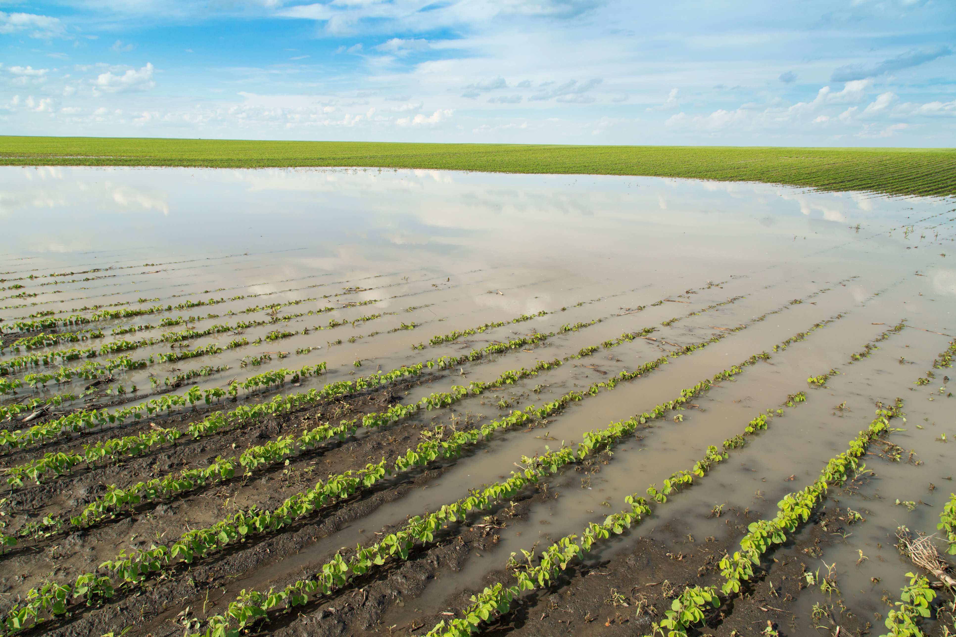 Drones and Agricultural Insurance: Transforming Crop Damage Assessments