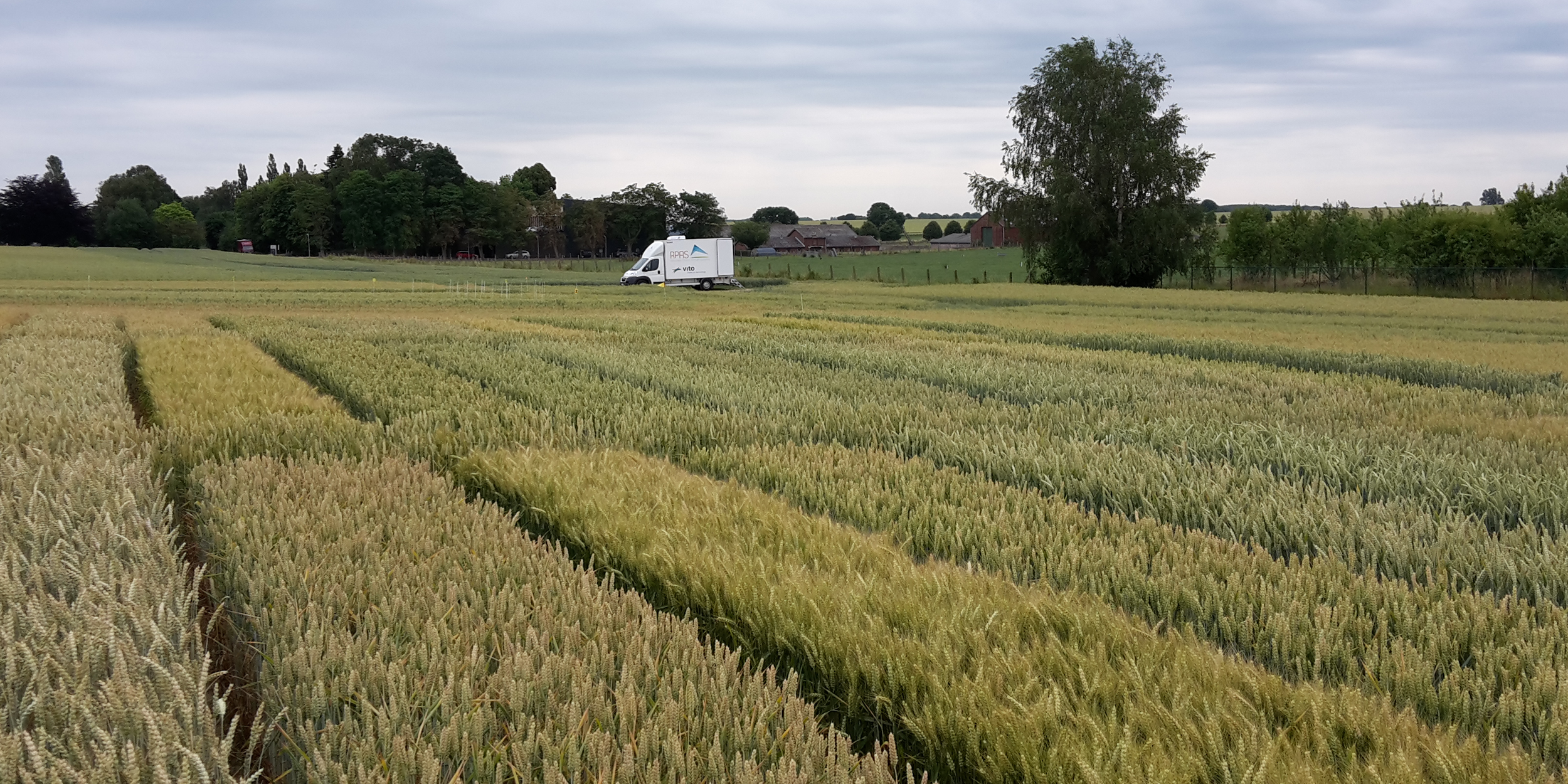 New technologies help plant breeders make a leap forward