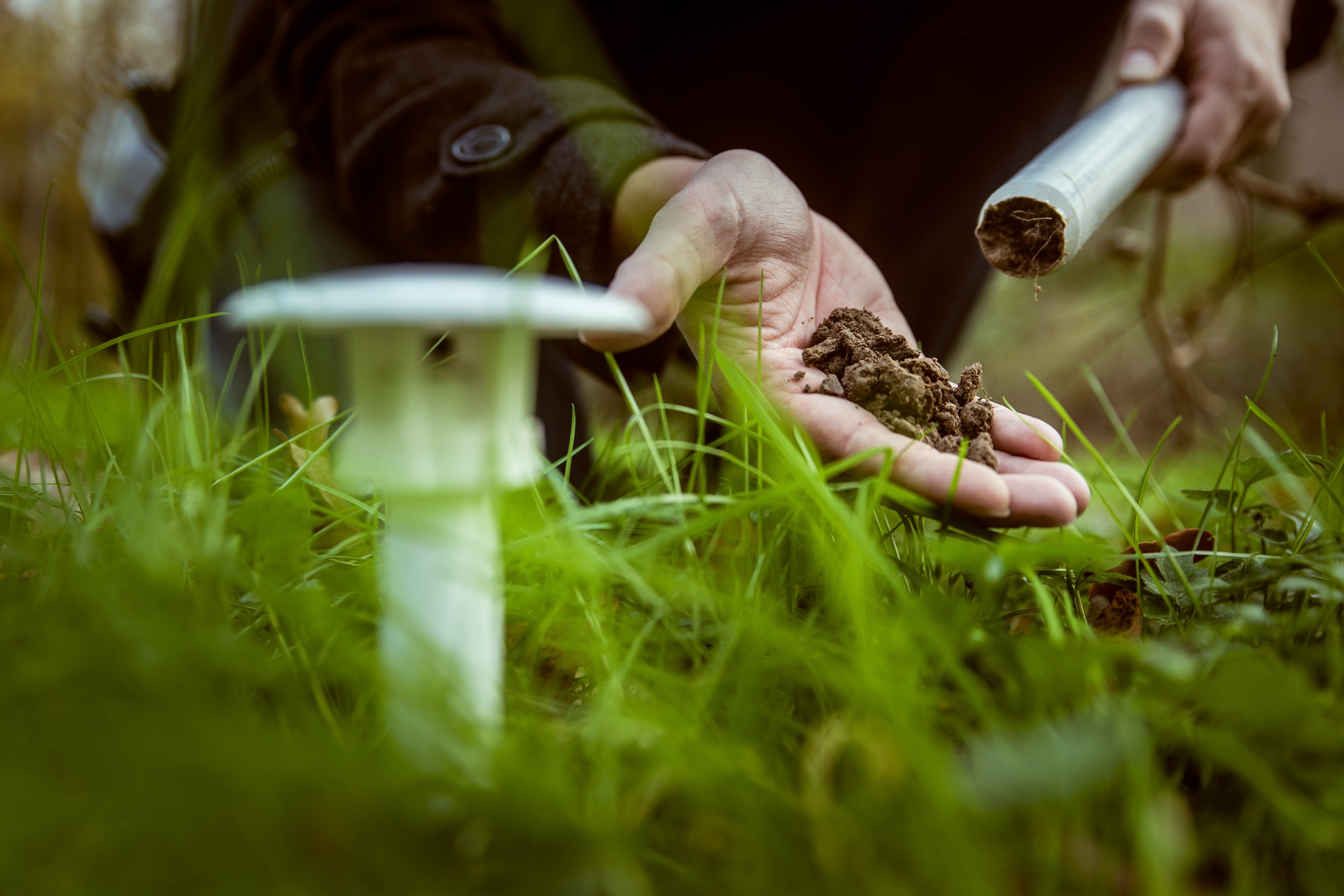 CurieuzeNeuzen in de tuin: citizen science towards heat and drought