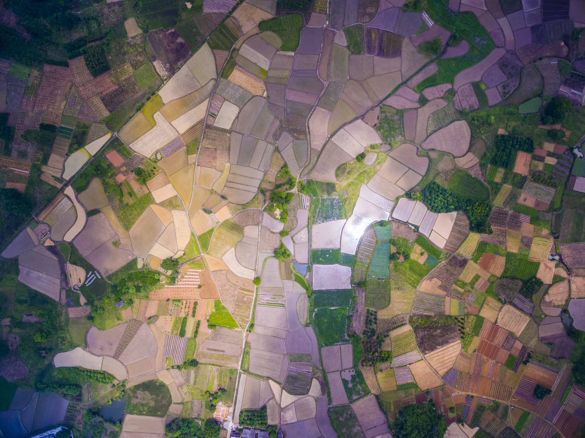 Mapping crops at a global scale! What works and what doesn’t?