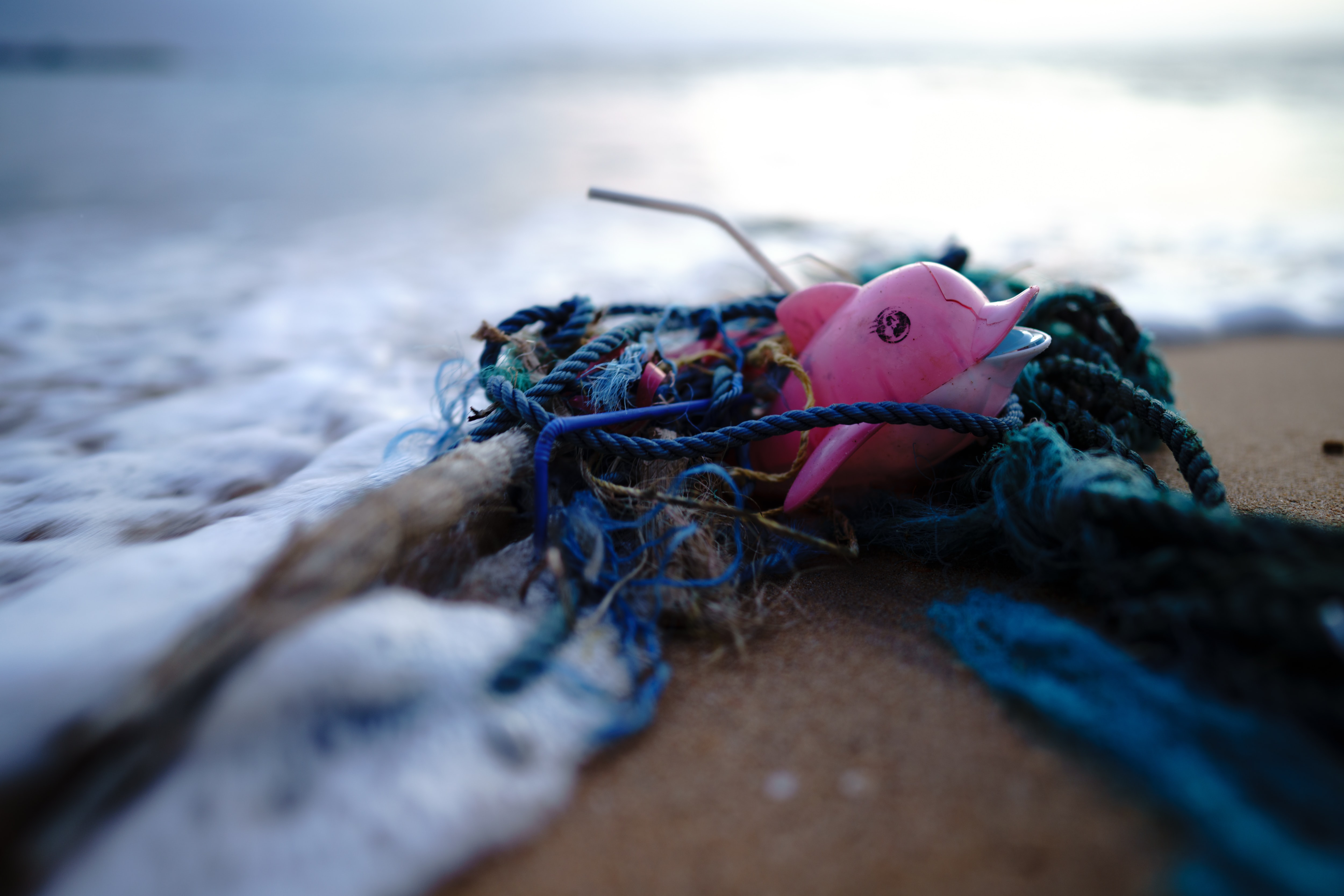 Artificial Intelligence to detect marine plastic litter