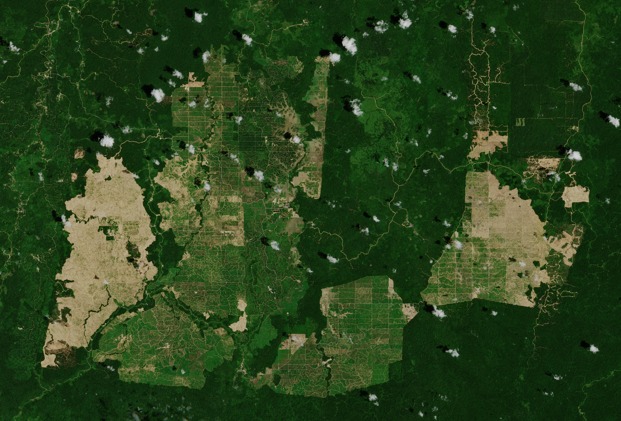 Towards continuous land cover mapping at high resolution