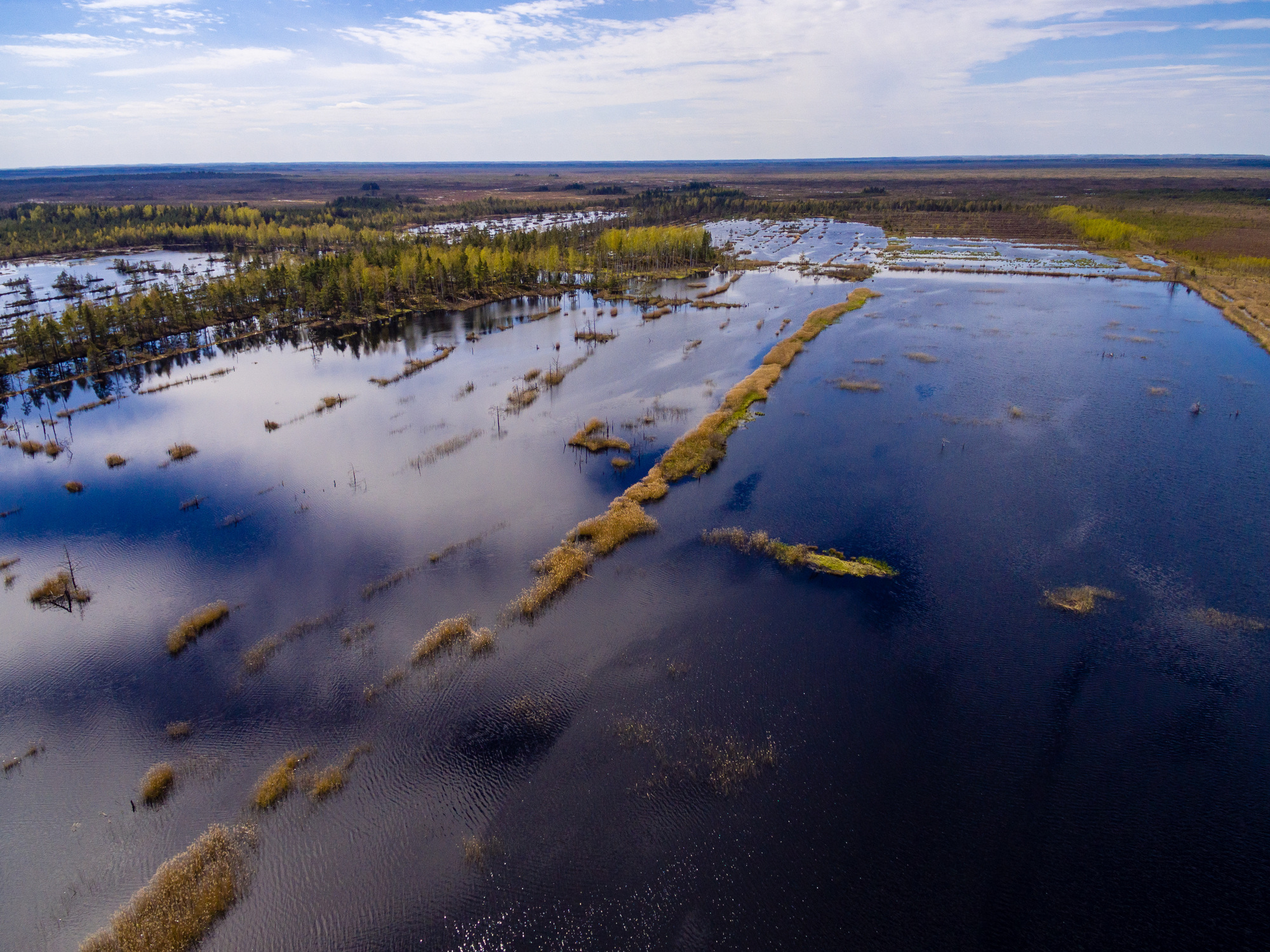 Leveraging satellite data and AI for environmental policy support